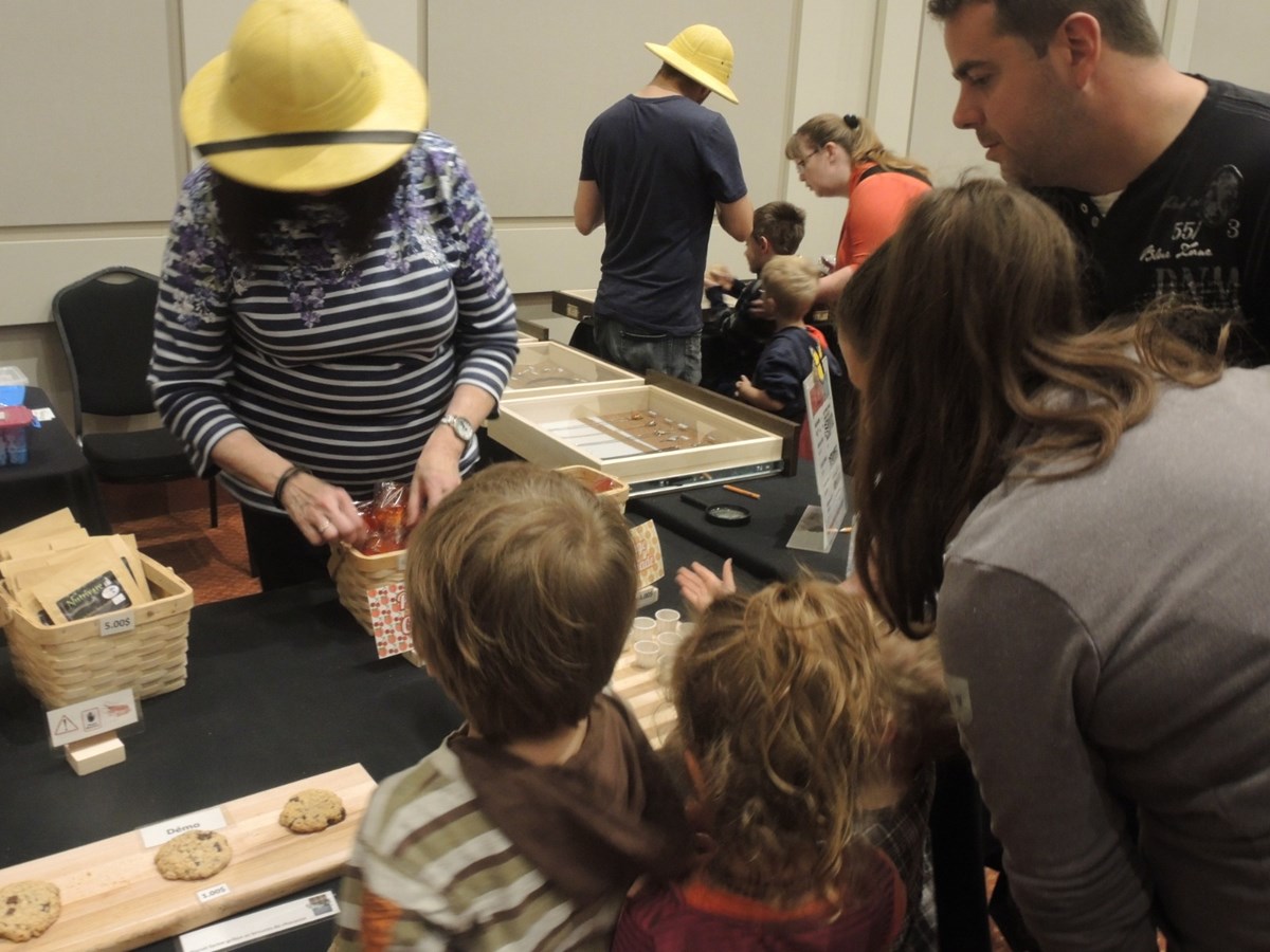 Un premier Festival des insectes présenté au Georgesville