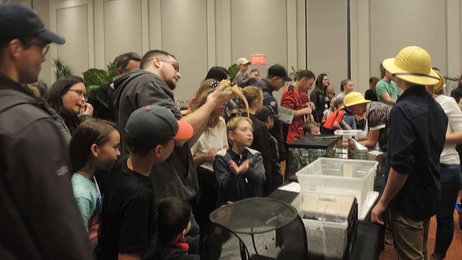 Un premier Festival des insectes présenté au Georgesville