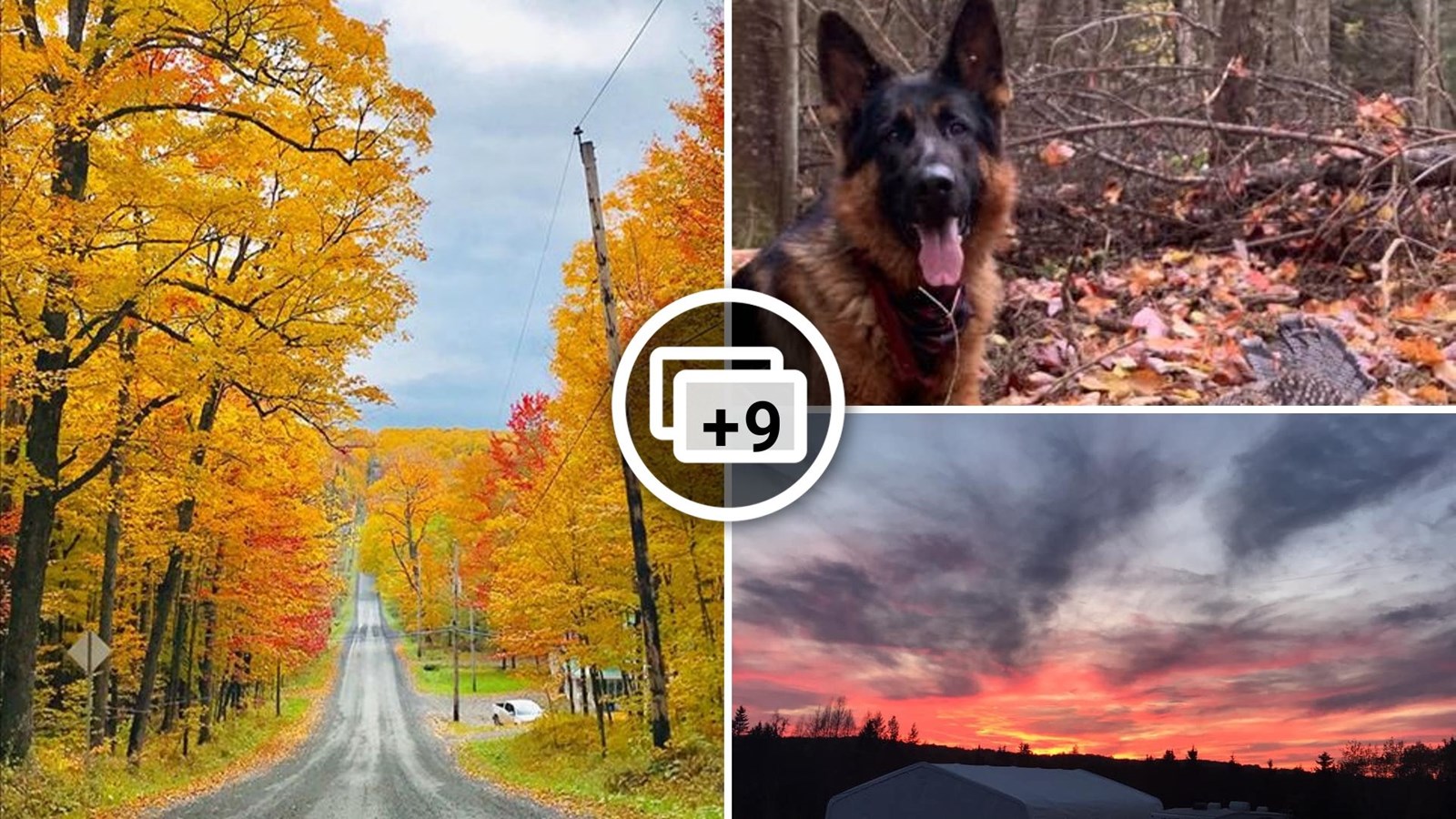 Galerie photos 2 : votre vision de l'automne !