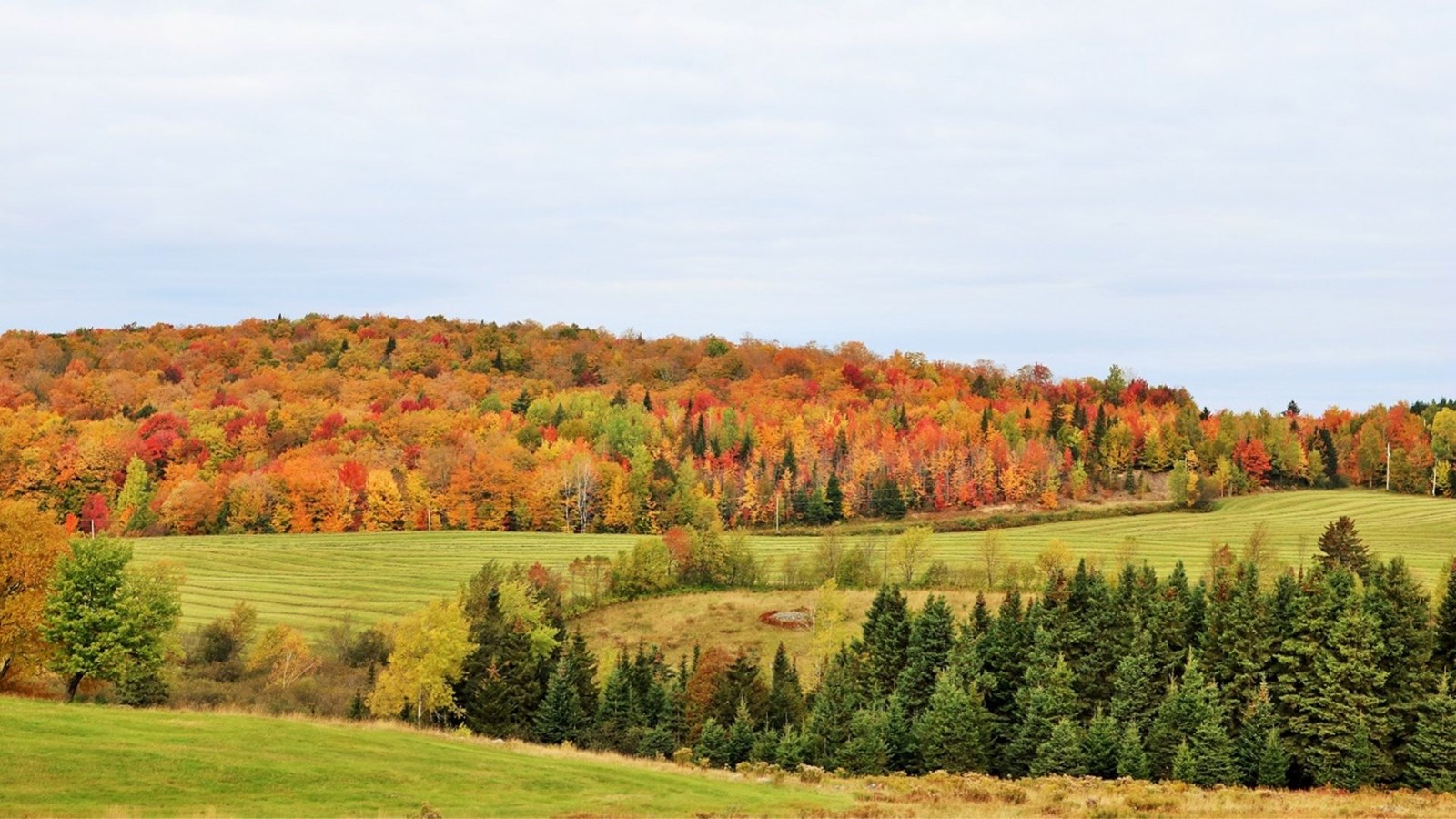 Galerie photos 2 : votre vision de l'automne !