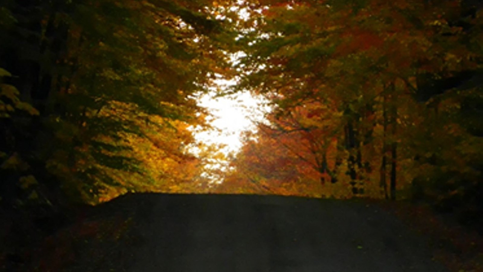 Galerie photos 2 : votre vision de l'automne !