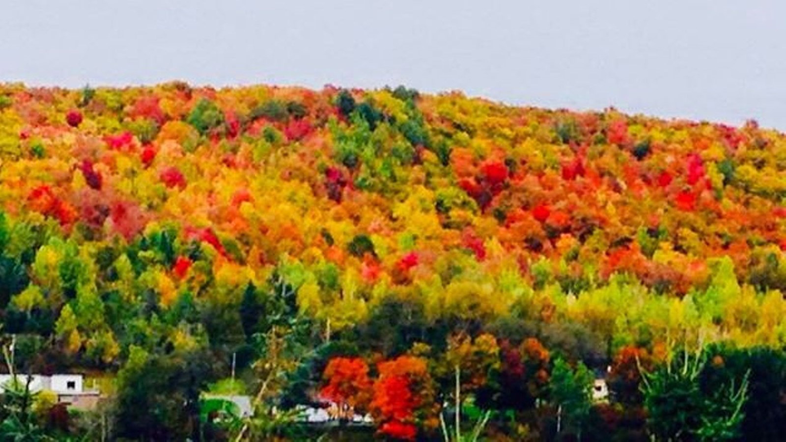 Galerie photos 2 : votre vision de l'automne !