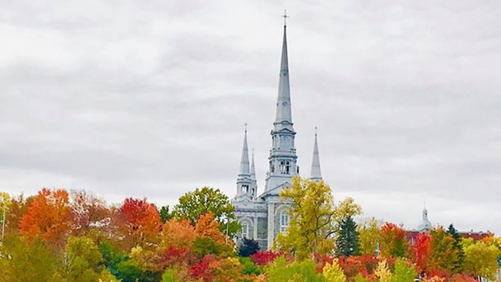 Galerie photos 2 : votre vision de l'automne !