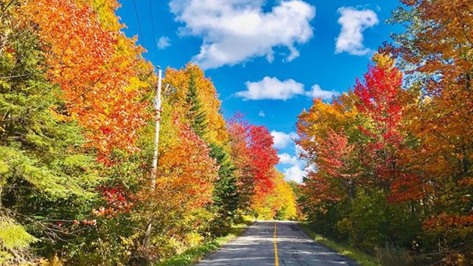 Galerie photos 2 : votre vision de l'automne !