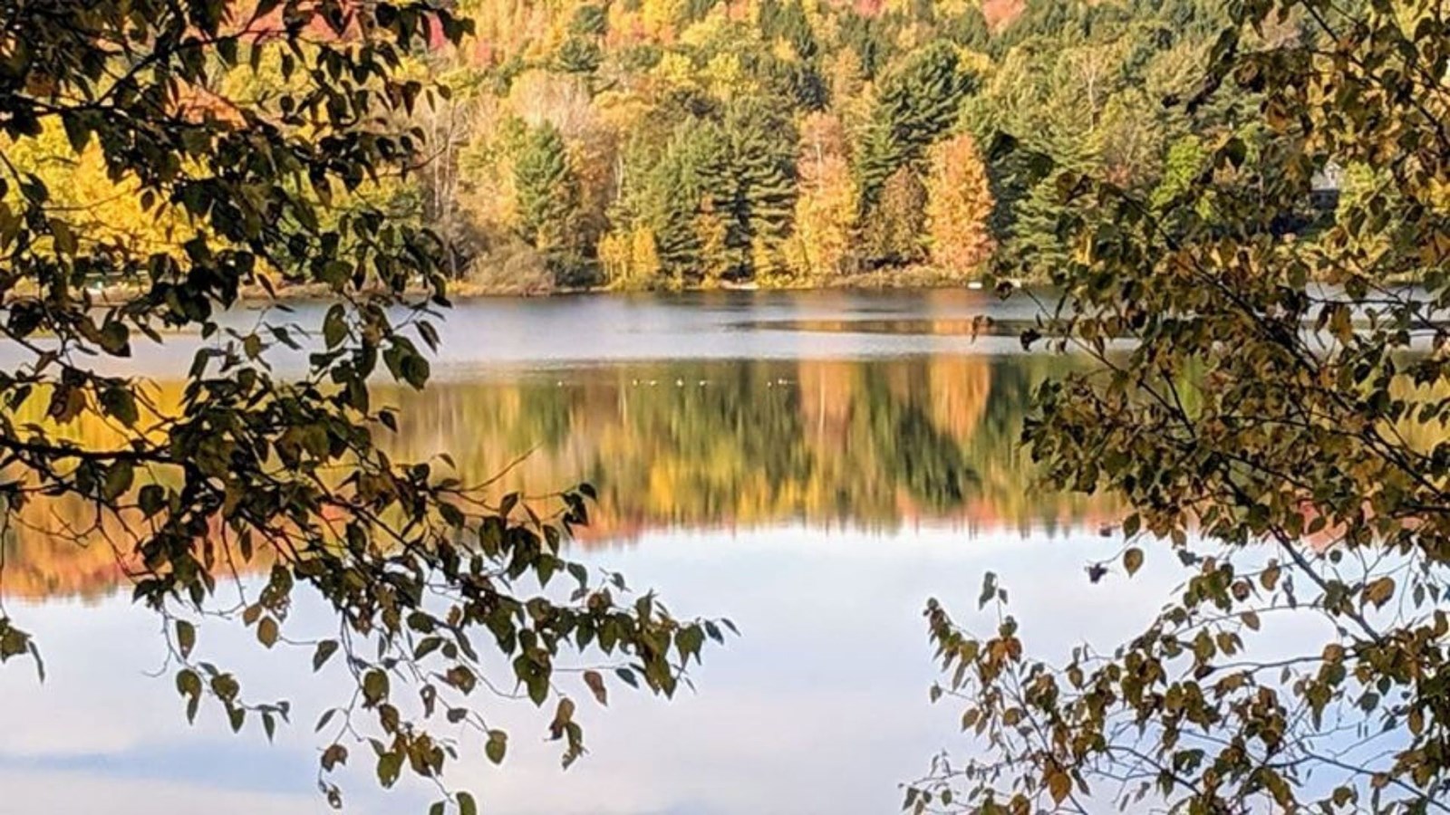 Galerie photos 3 : votre vision de l'automne !