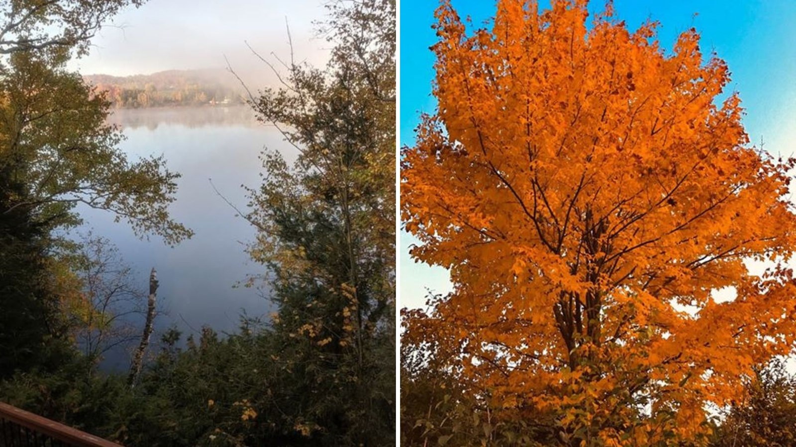 Galerie photos 3 : votre vision de l'automne !