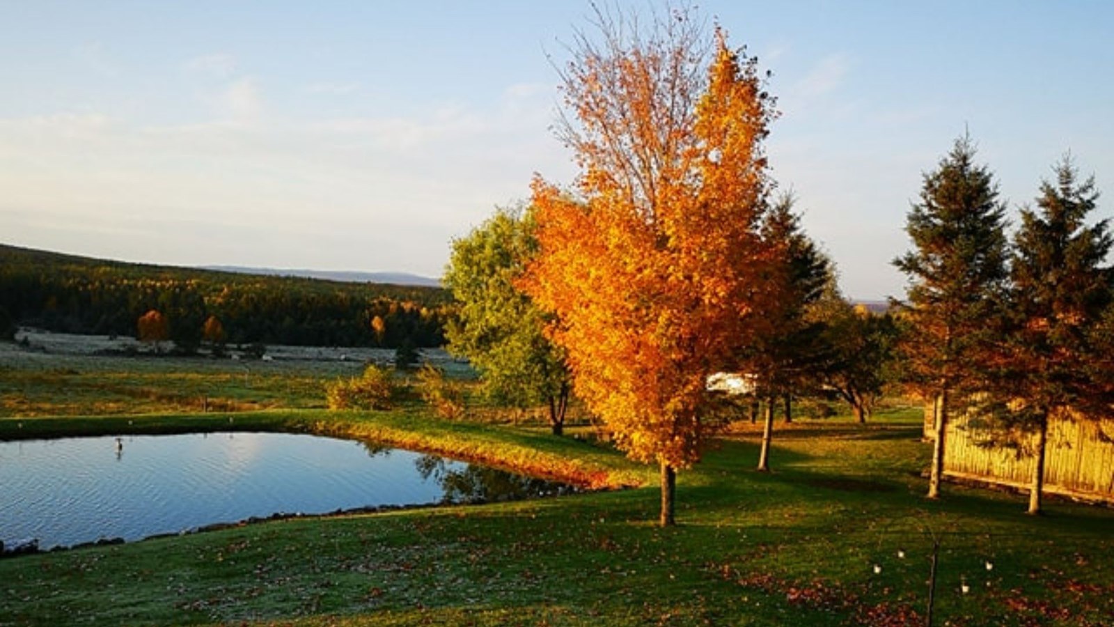 Galerie photos 3 : votre vision de l'automne !
