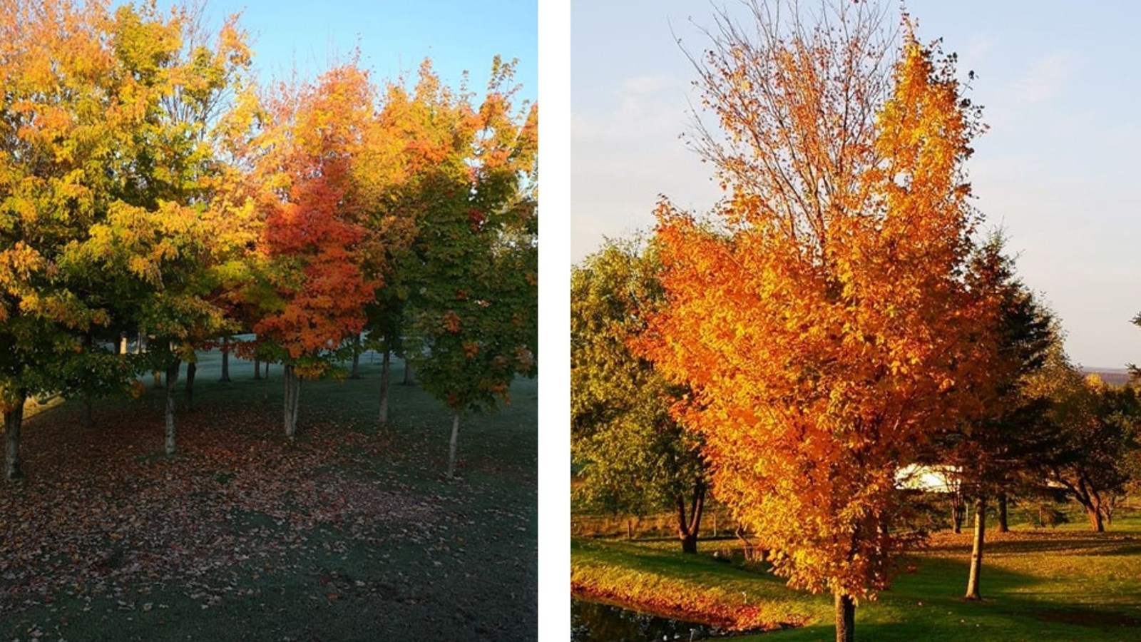 Galerie photos 3 : votre vision de l'automne !