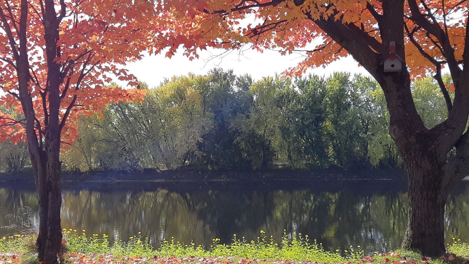 Galerie photos 3 : votre vision de l'automne !