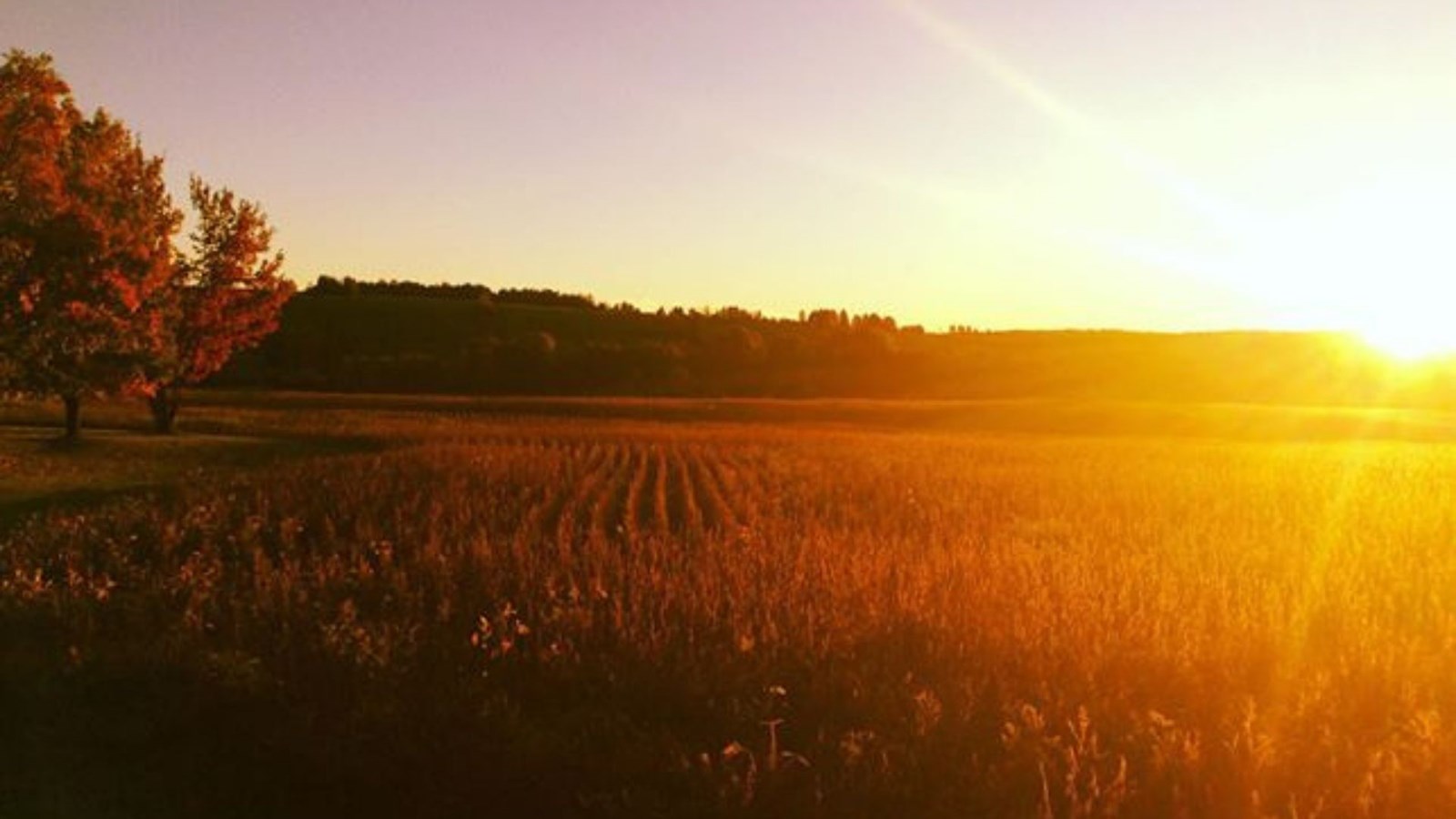 Galerie photos 3 : votre vision de l'automne !