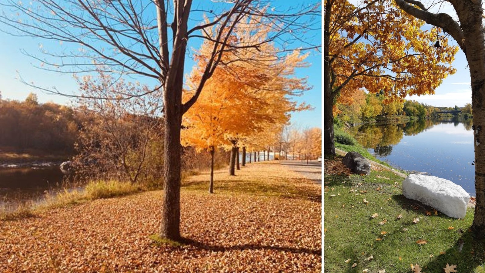 Galerie photos 3 : votre vision de l'automne !