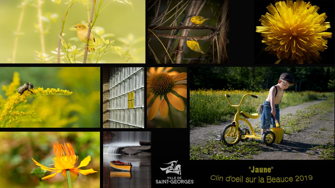 Concours Clin d’œil sur la Beauce : Ville de Saint-Georges récompense plusieurs photographes amateurs