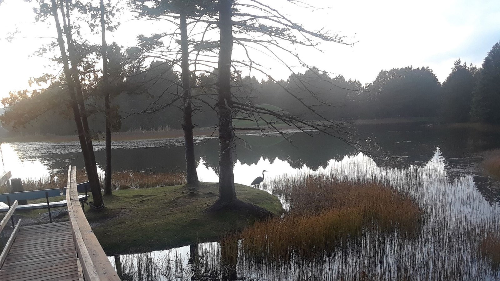 Galerie photos 4 : votre vision de l'automne !