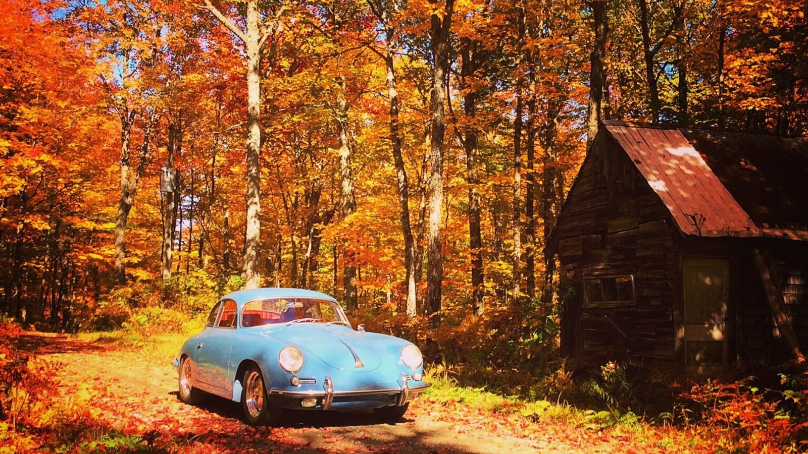Galerie photos 4 : votre vision de l'automne !