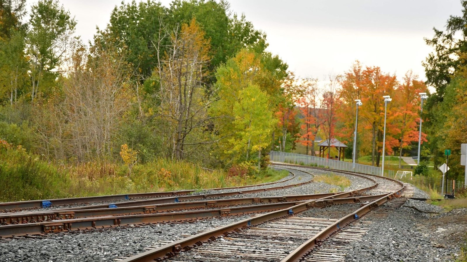 Galerie photos 4 : votre vision de l'automne !
