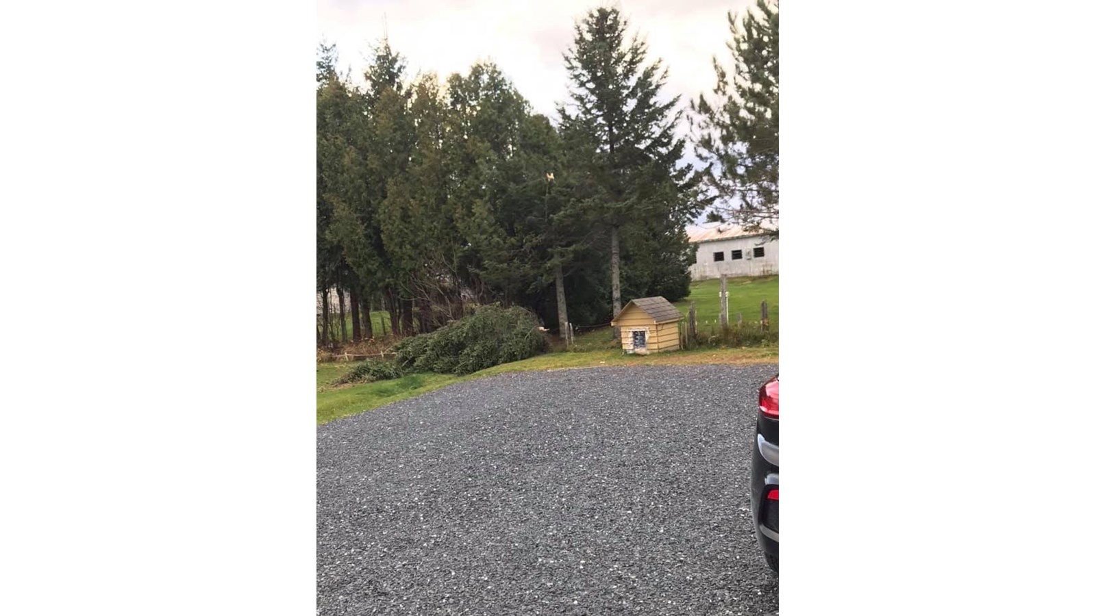 Vos photos de la tempête automnale