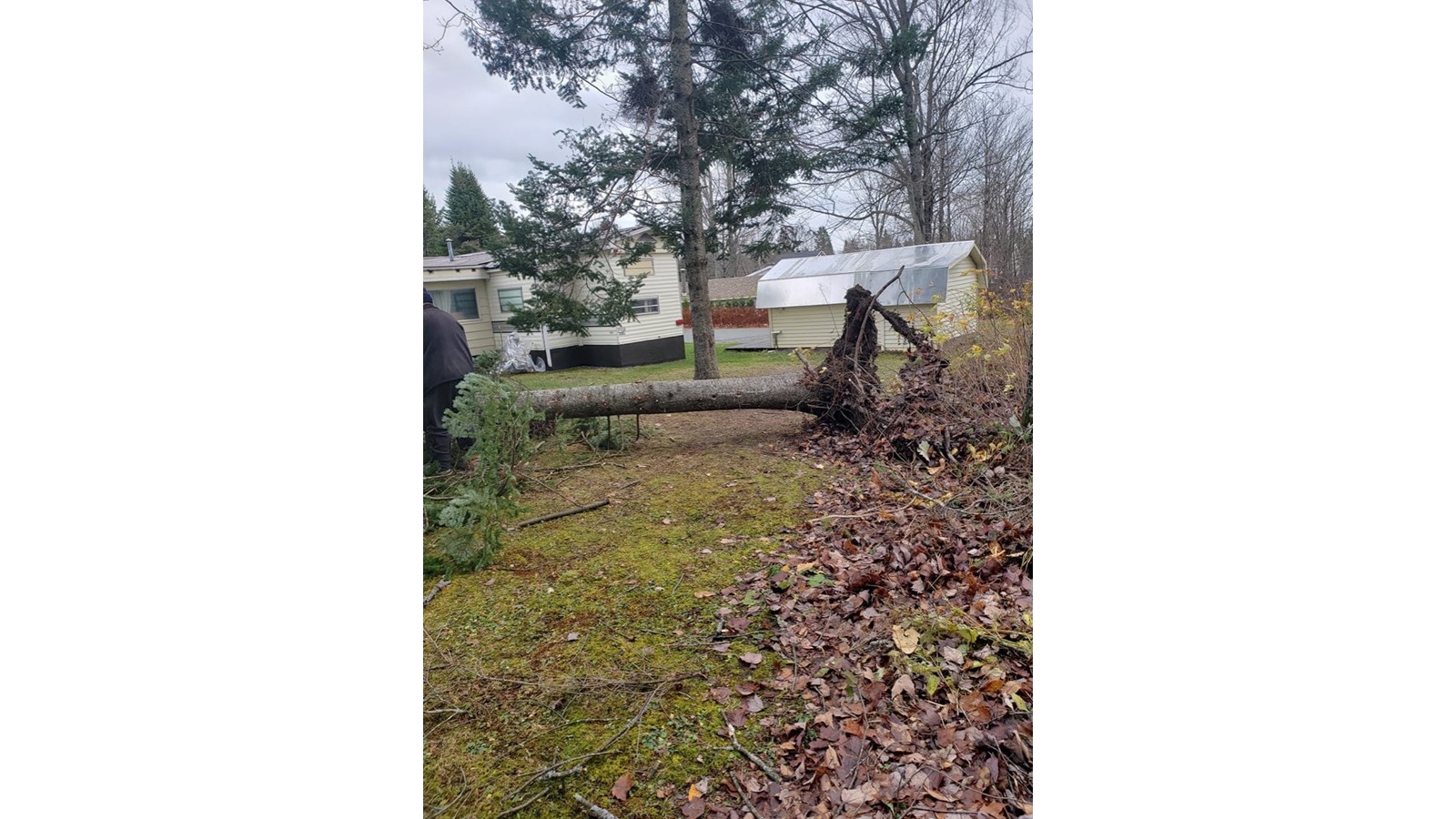 Vos photos de la tempête automnale