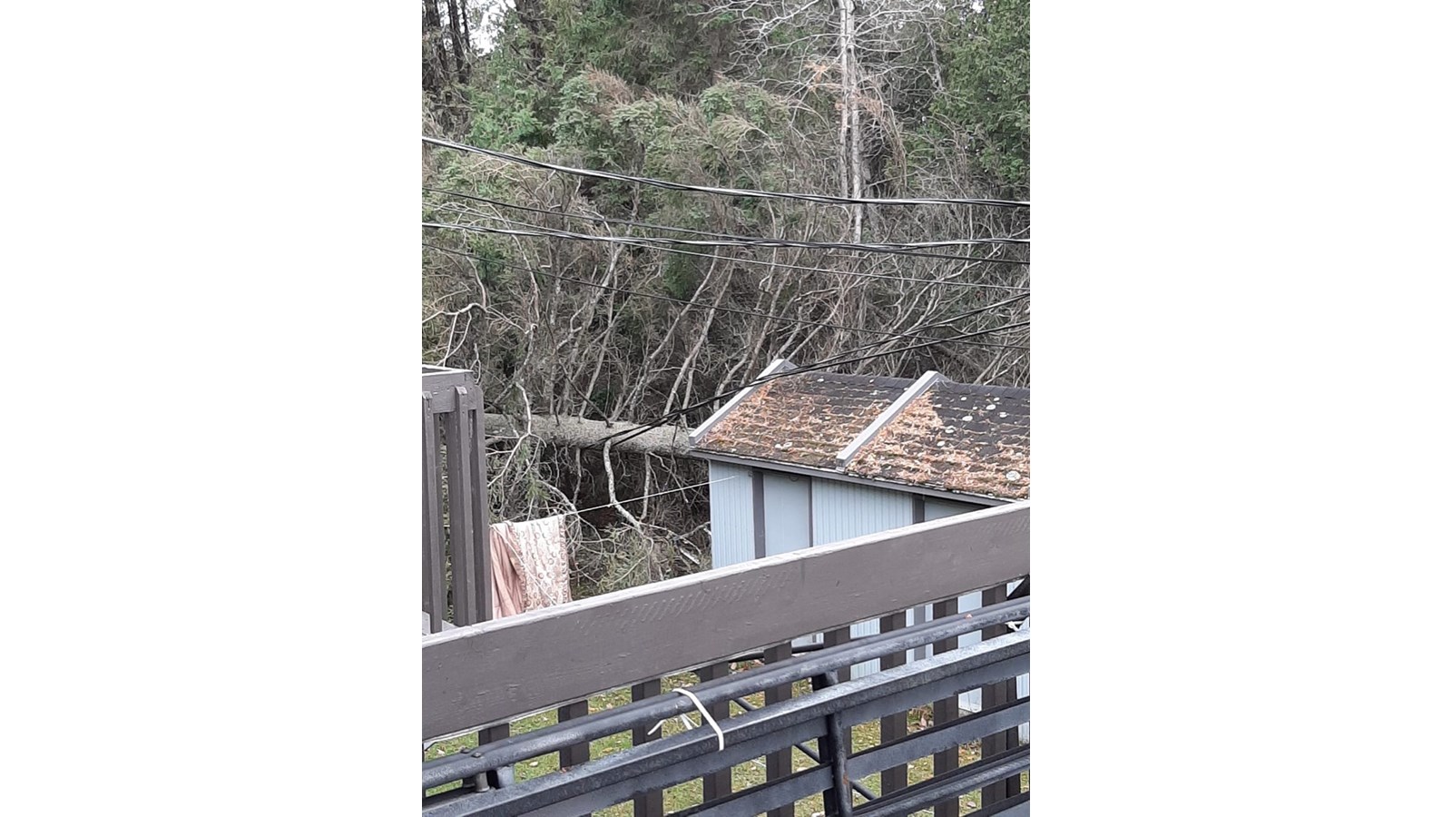 Vos photos de la tempête automnale