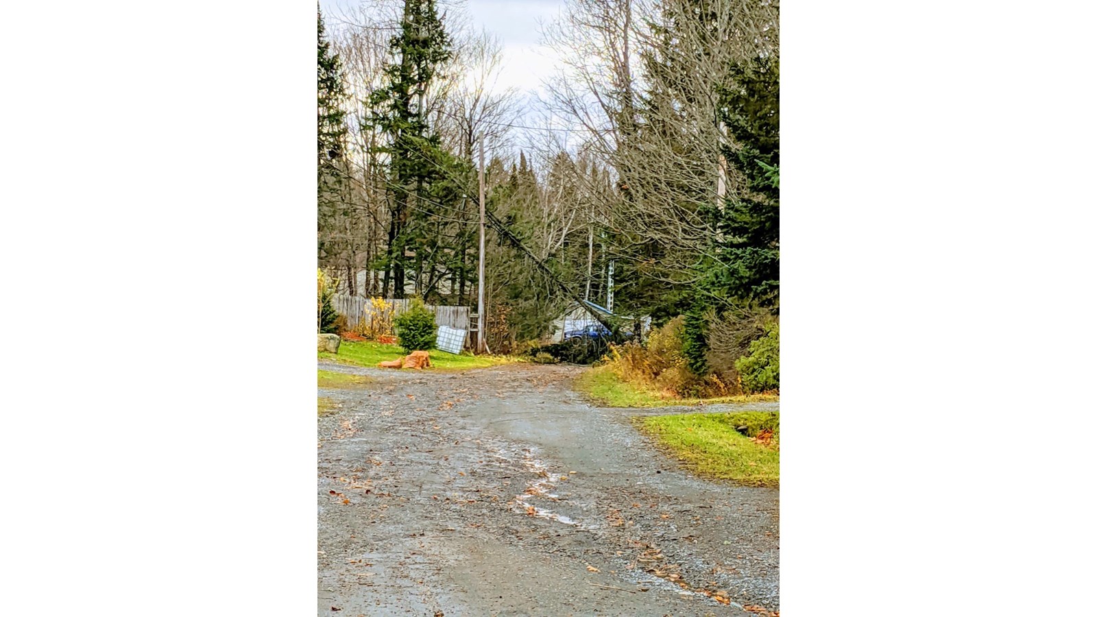 Vos photos de la tempête automnale