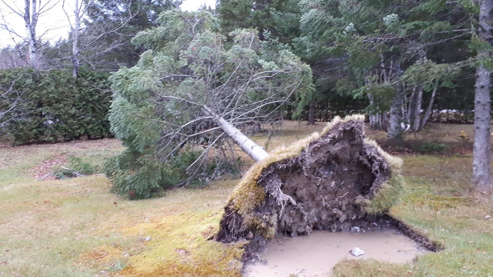 Vos photos de la tempête automnale