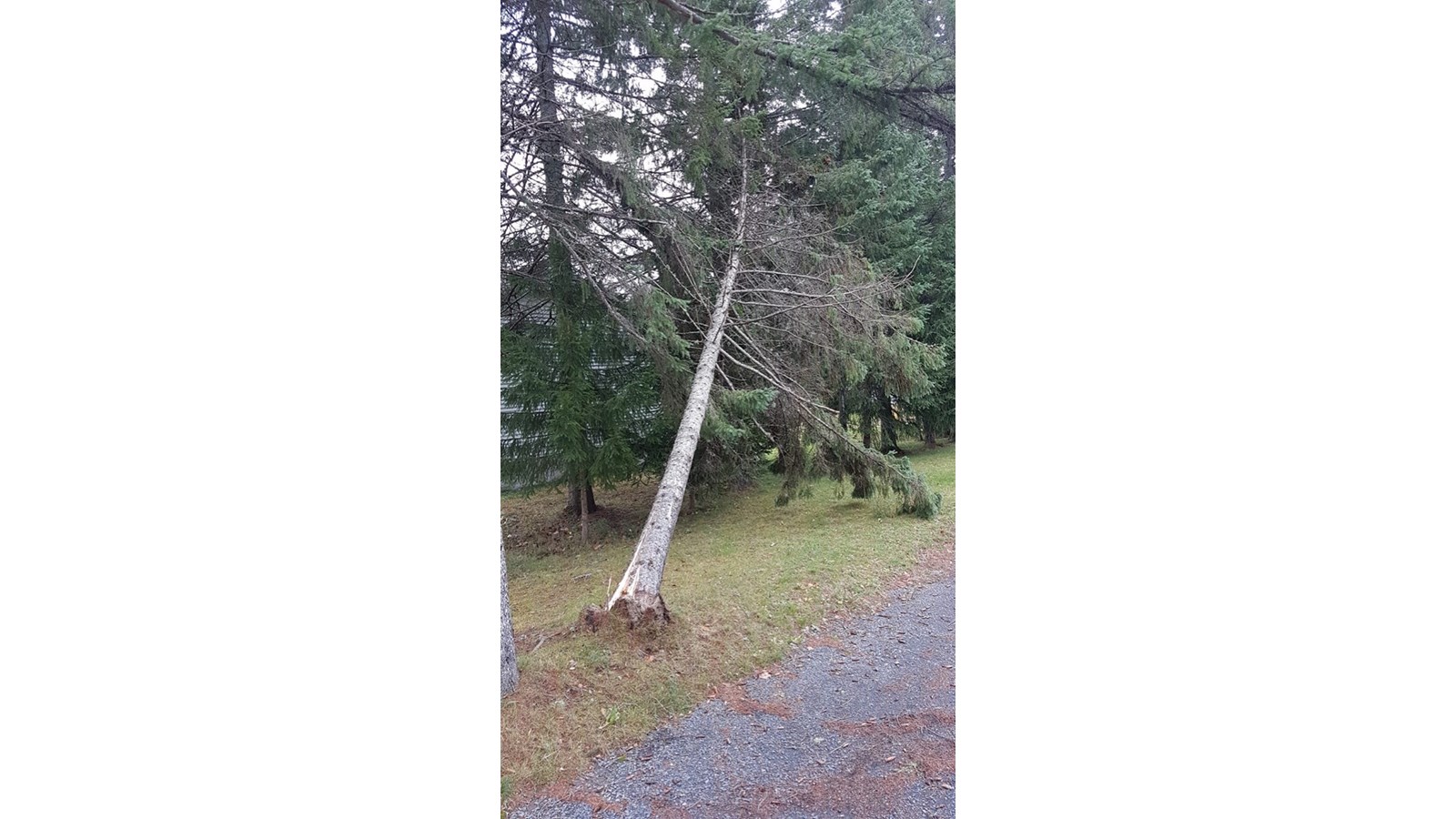 Vos photos de la tempête automnale