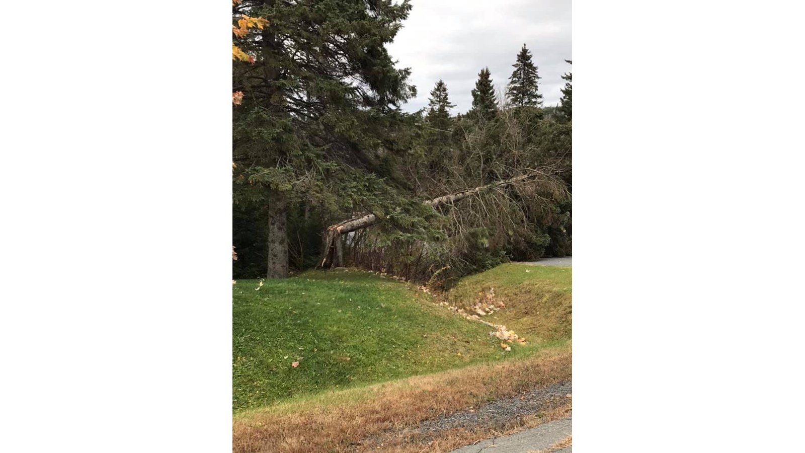 Vos photos de la tempête automnale
