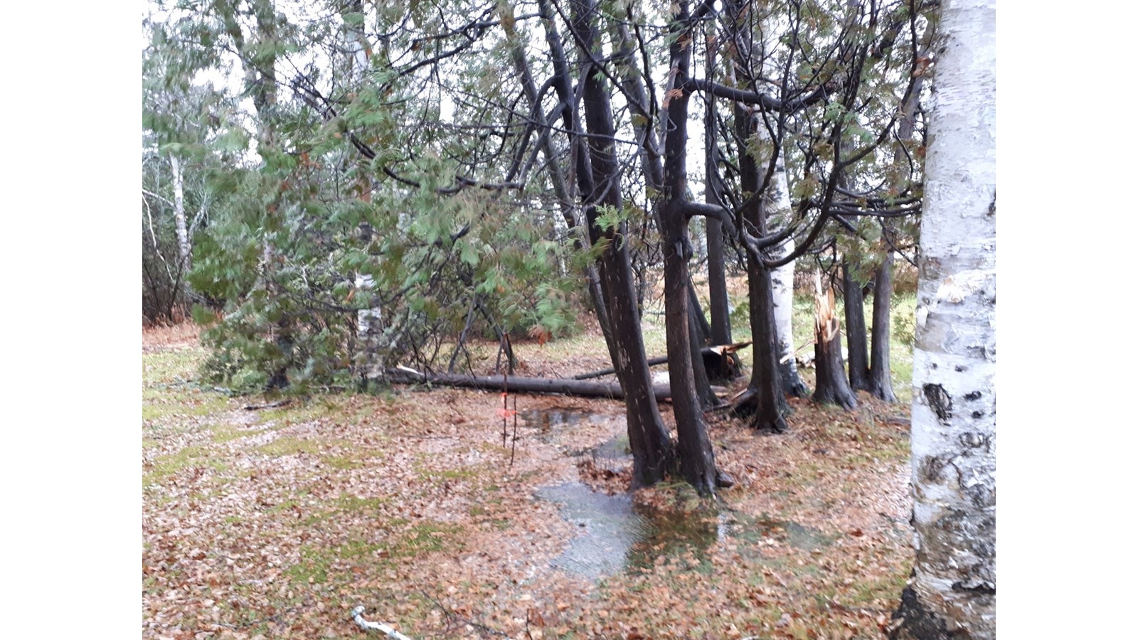 Vos photos de la tempête automnale
