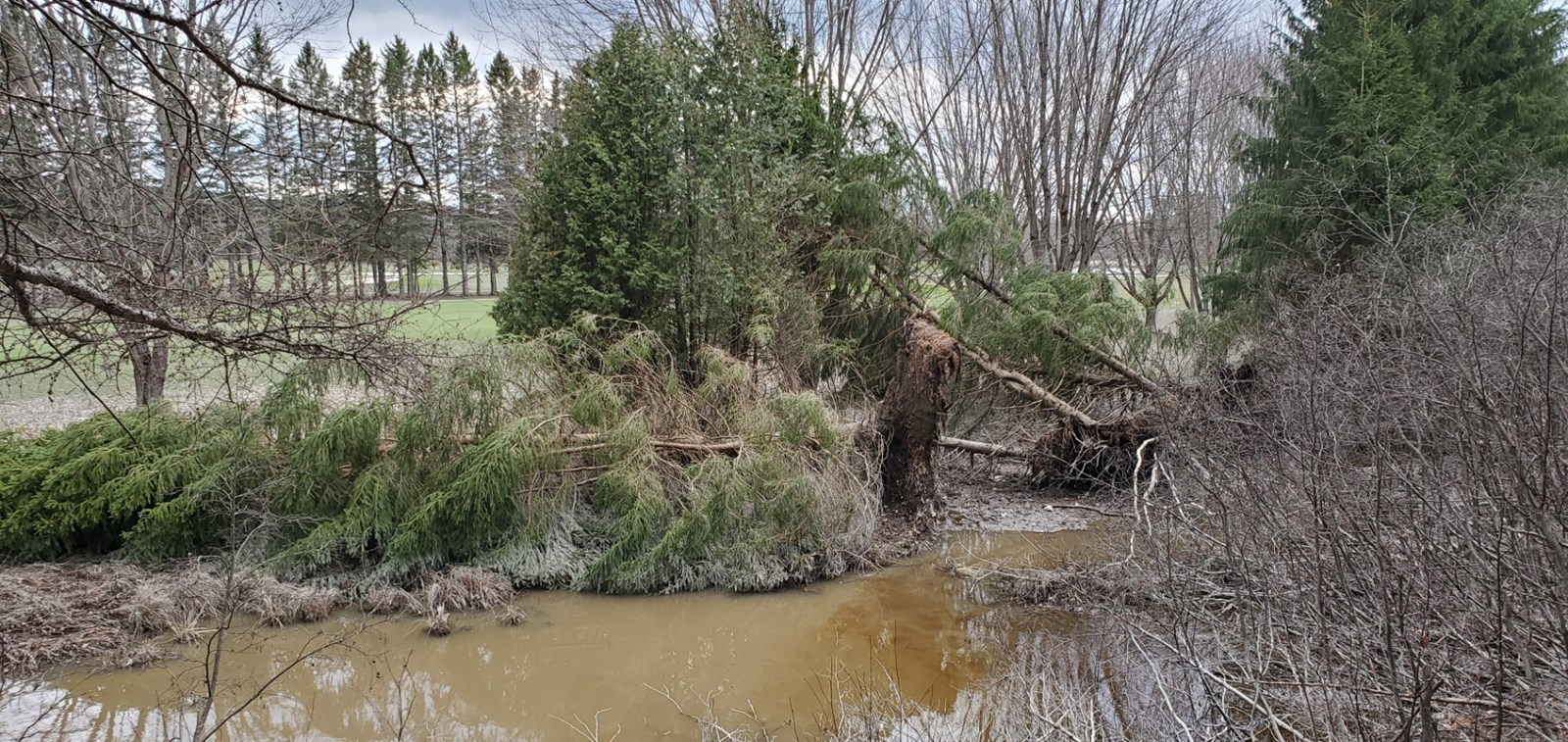Photo-reportage : les dégâts au Club de golf Saint-Georges 