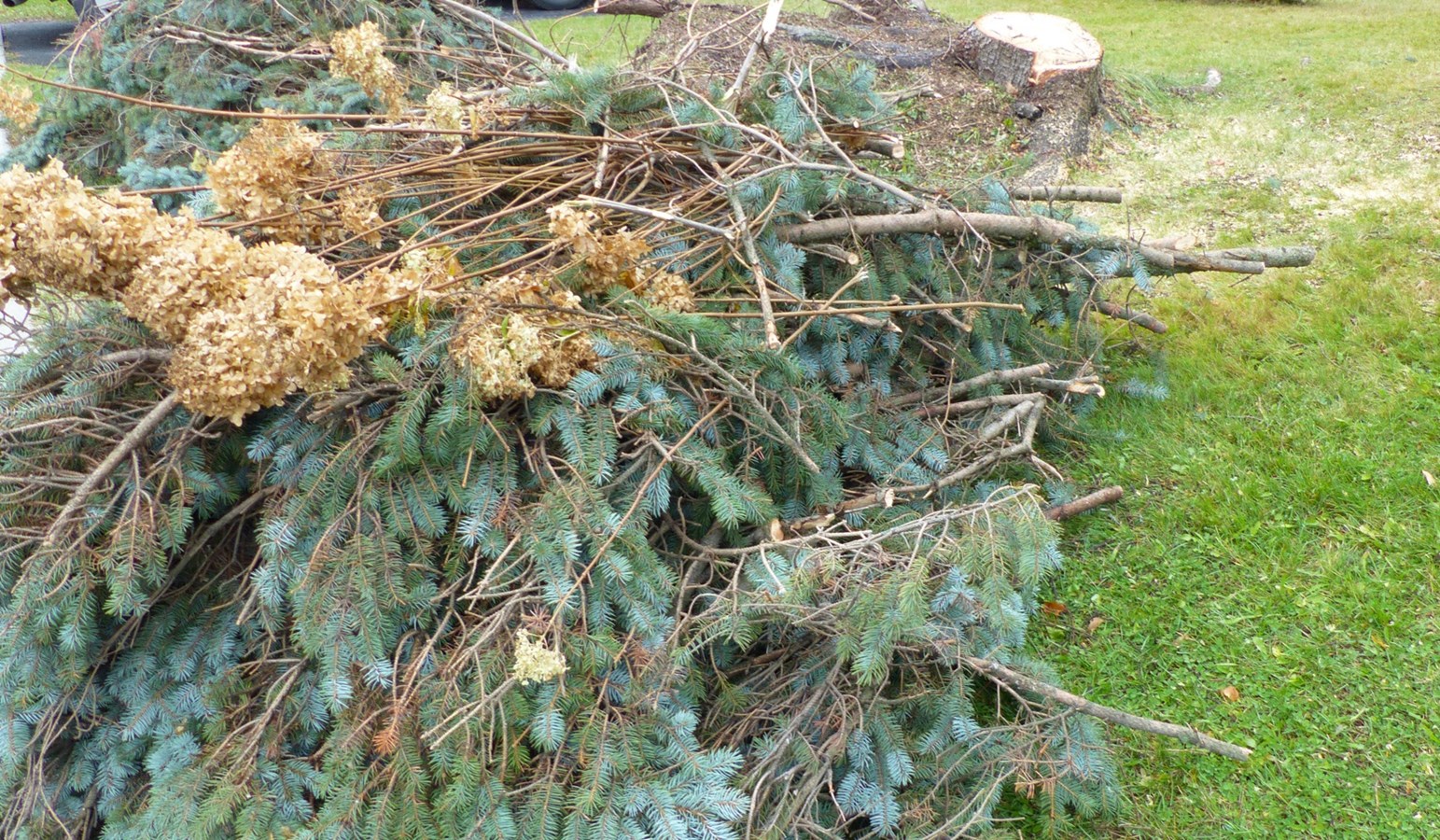 Tempête automnale : un conteneur sera mis à disposition pour recueillir les branches 