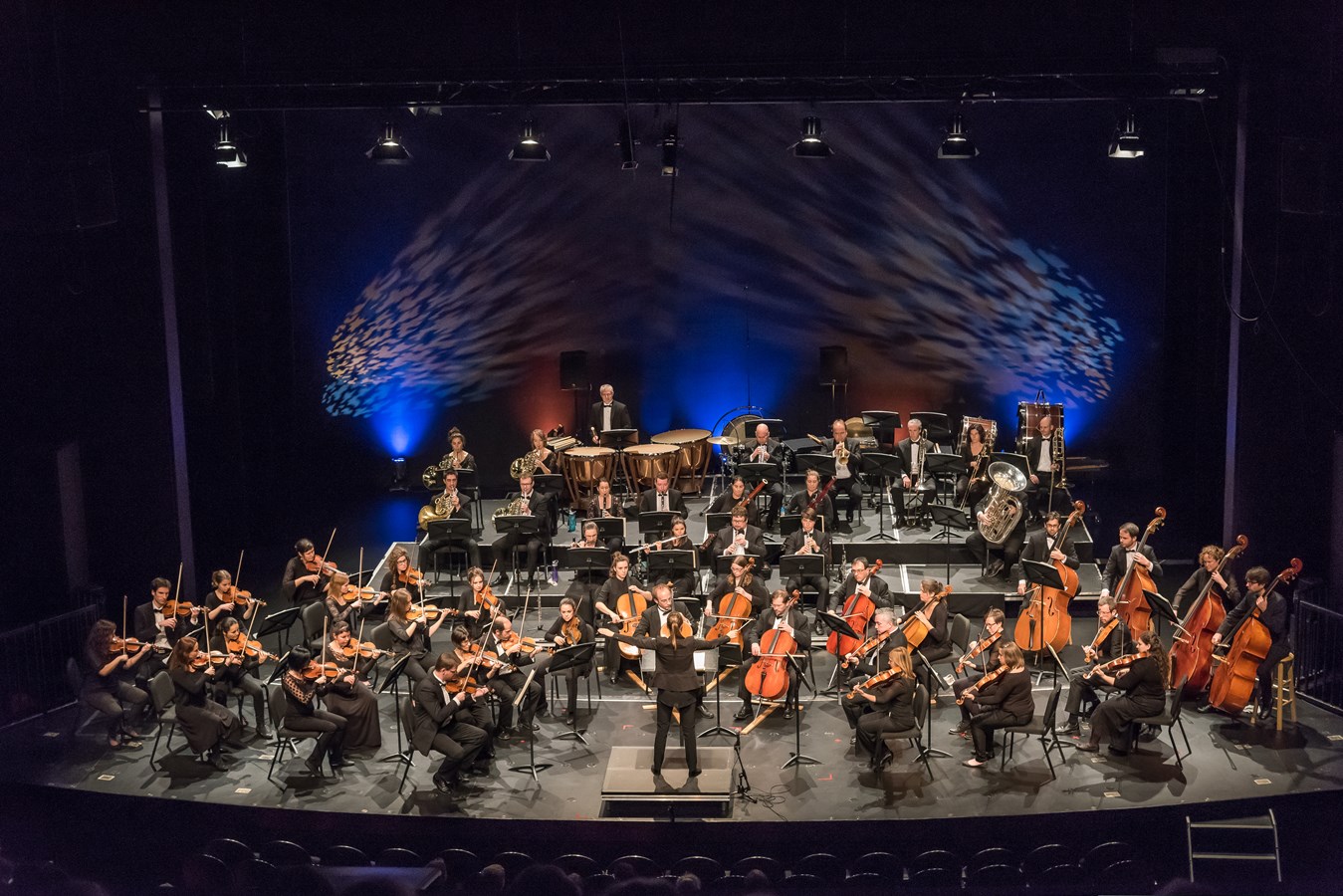 De musicienne à chef d’orchestre
