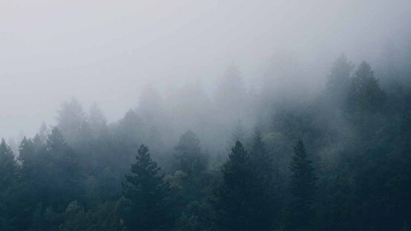 Smog : la qualité de l'air se détériore même l'hiver