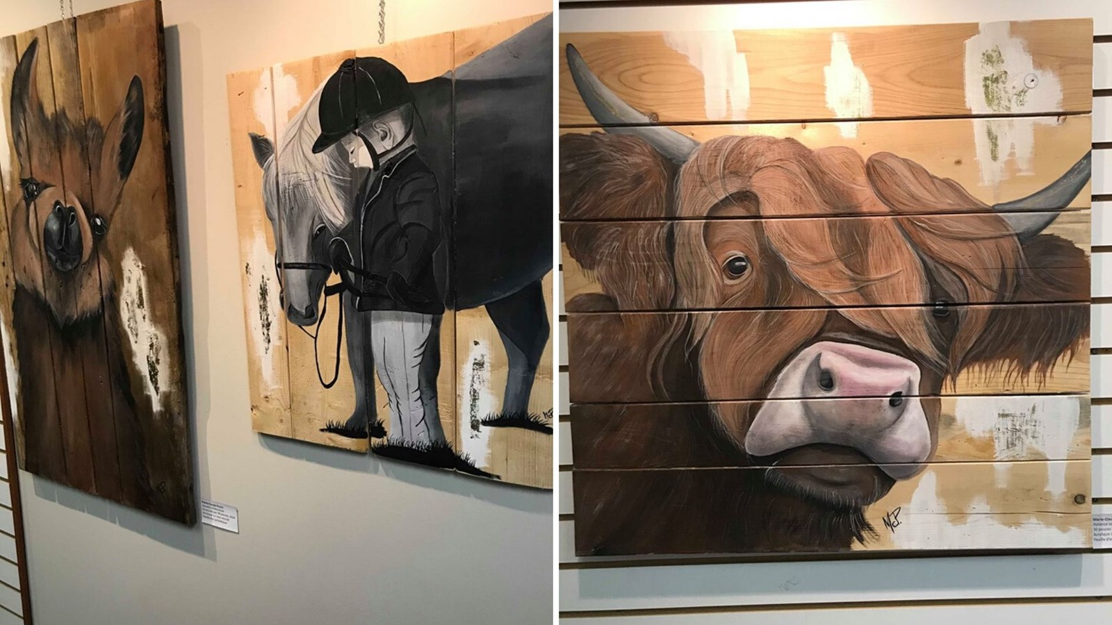 Exposition de Marie-Claude Poulin à la biblio Madeleine-Doyon