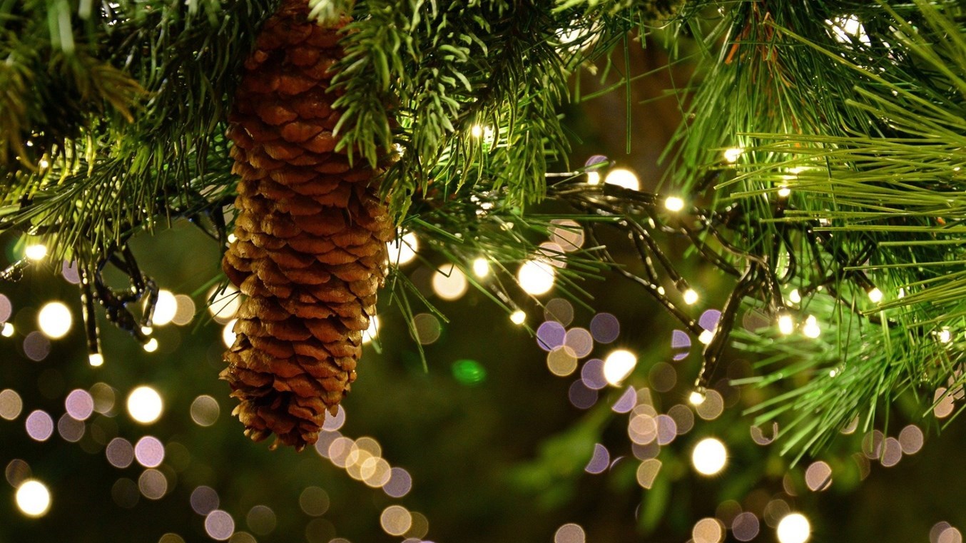 Il est important d'hydrater votre sapin tous les jours.