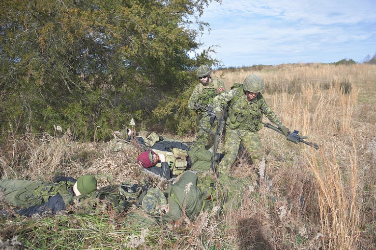 Les militaires devaient s’adapter à la faune et la flore complètement différentes de la Virginie.