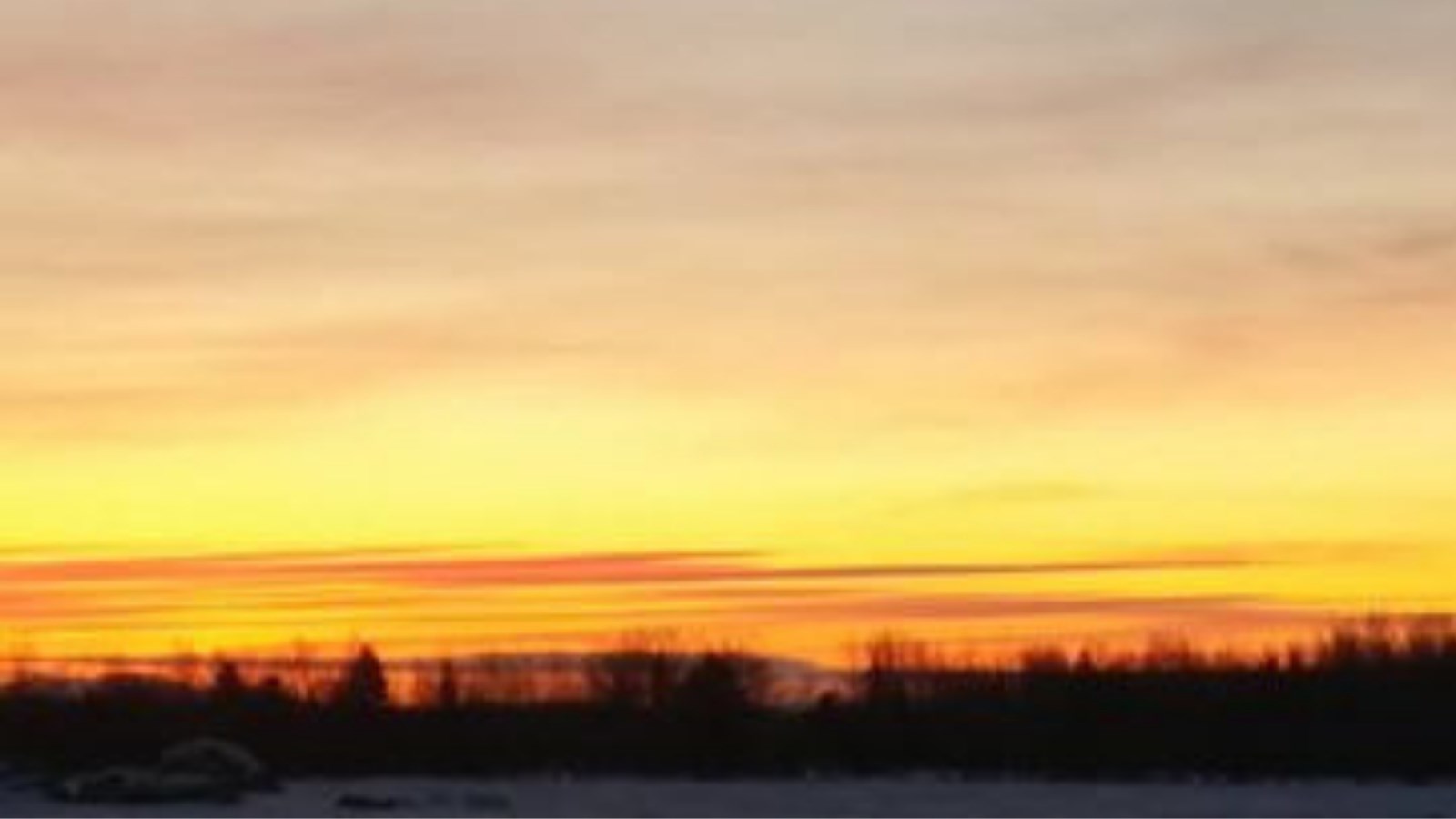 PHOTOS | Les plus beaux paysages hivernaux de la Beauce
