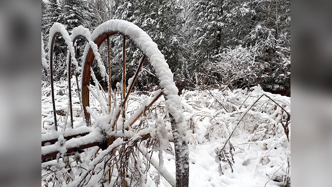 PHOTOS | Les plus beaux paysages hivernaux de la Beauce
