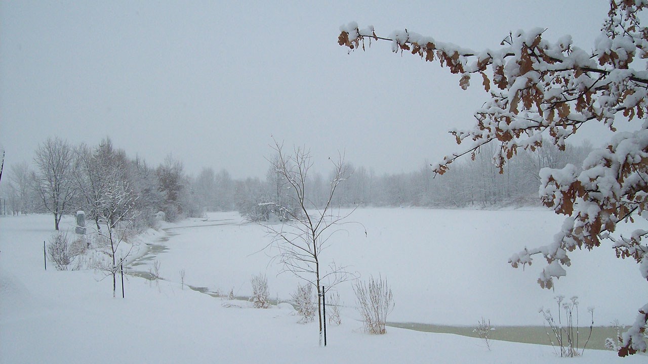 PHOTOS | Les plus beaux paysages hivernaux de la Beauce
