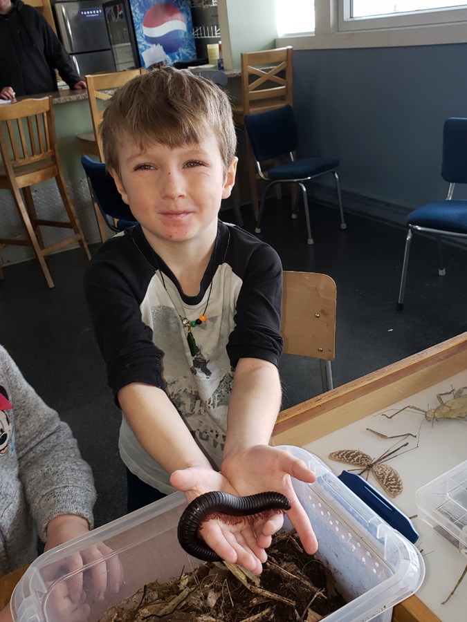 Un atelier sur la découverte d’insectes à Saint-Benoît-Labre