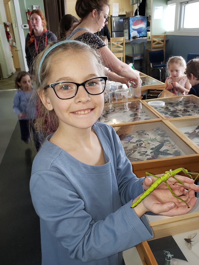 Un atelier sur la découverte d’insectes à Saint-Benoît-Labre