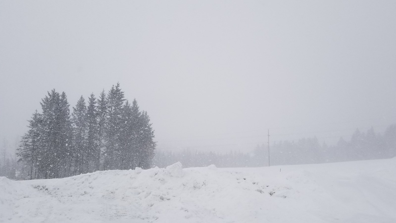 Un début de printemps enneigé ? 