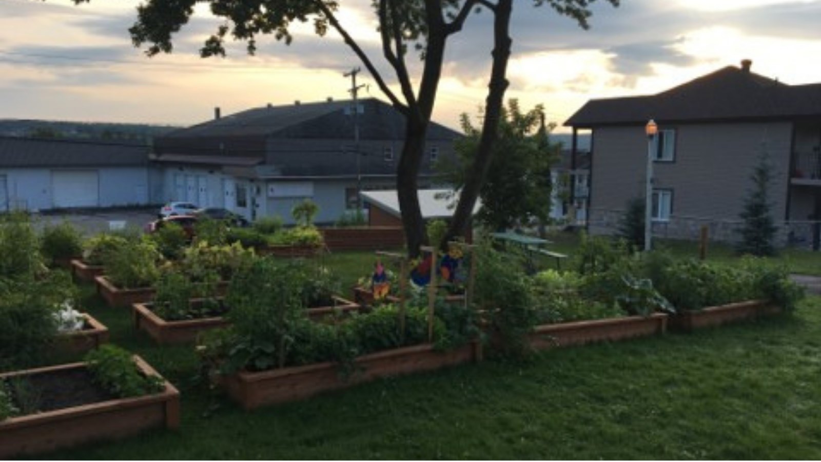 Jardins communautaires de Saint-Georges : huit nouveaux bacs à cultiver cet été