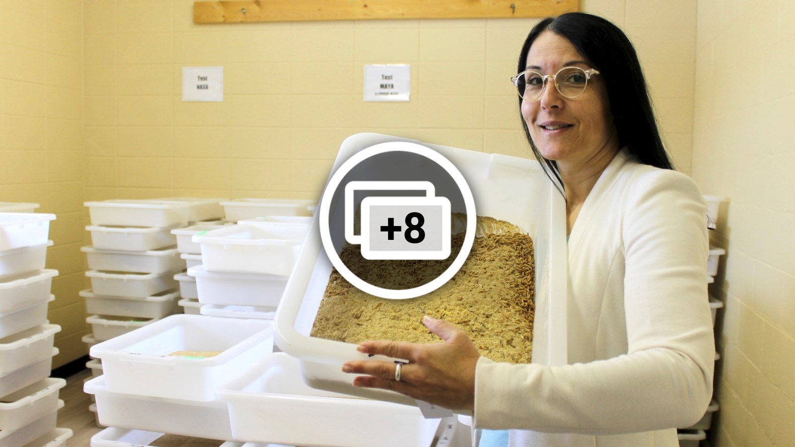 Séduire la Beauce avec de la farine d'insectes 