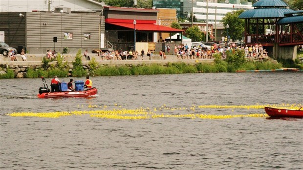 La Grande course de canards Meuble et Nous se tiendra le 8 juin