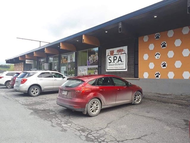 La S.P.A. Beauce-Etchemin n'accepte plus les animaux de certaines municipalités