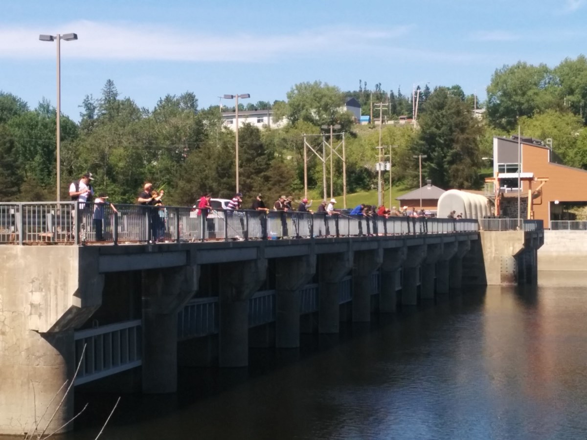 Pêche en ville est de retour à Saint-Georges