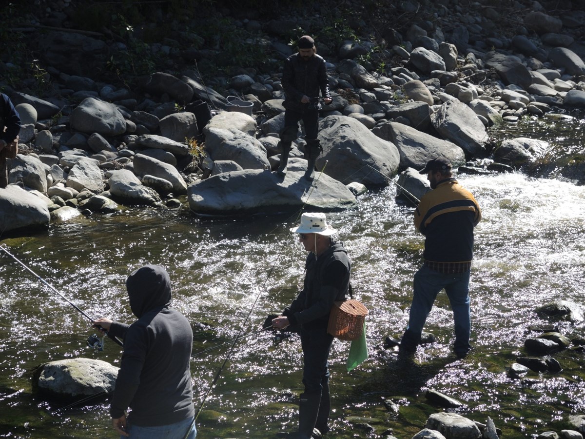 L’événement Pêche en ville bat son plein