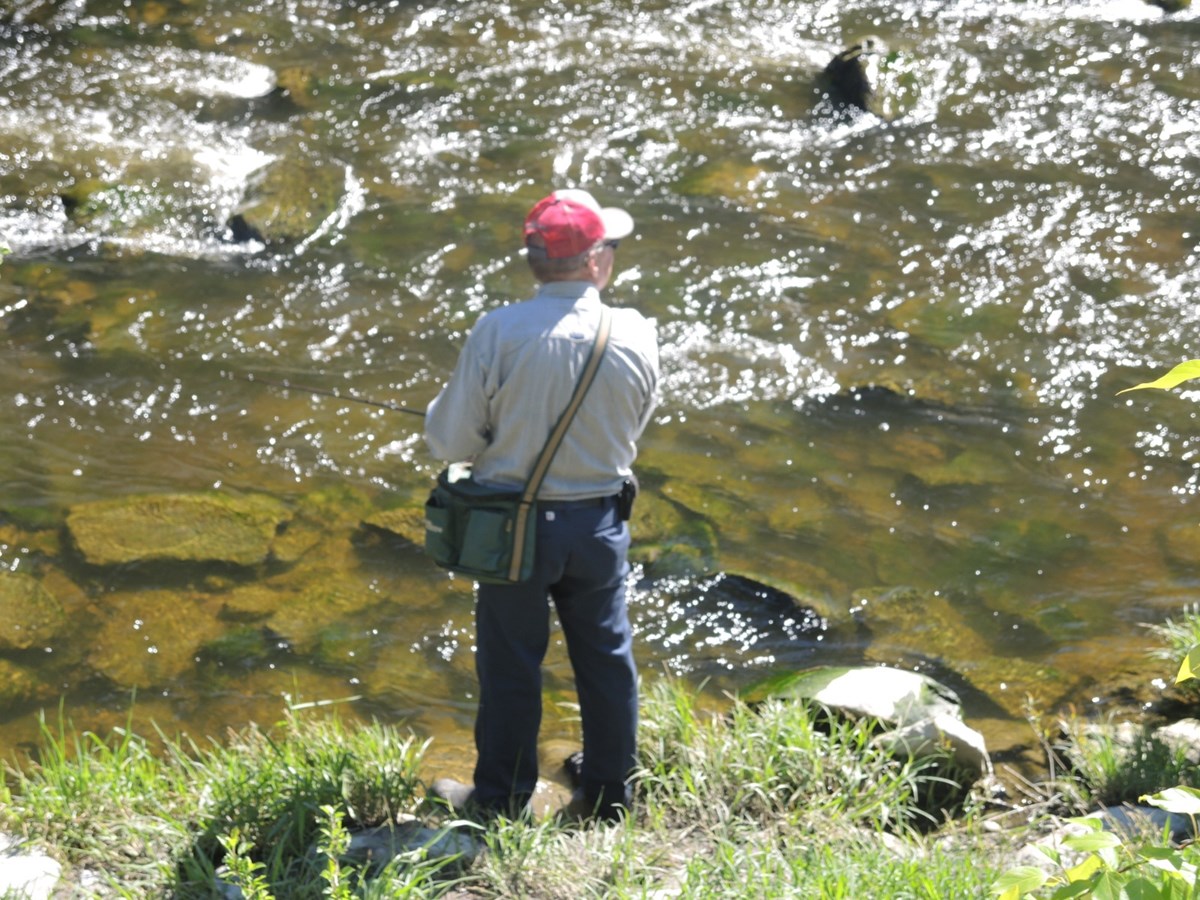 L’événement Pêche en ville bat son plein