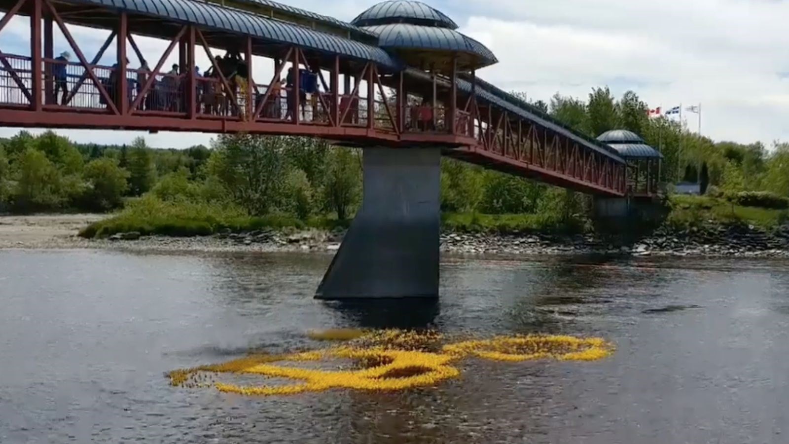 Un montant de 22 300 $ amassé lors de la Grande Course des petits canards Meubles & nous
