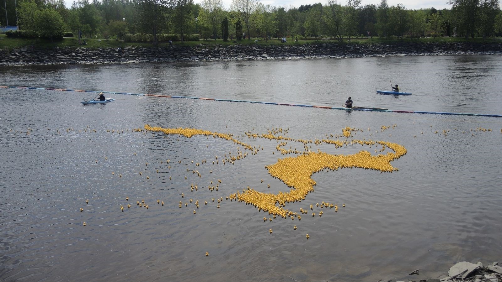 Un montant de 22 300 $ amassé lors de la Grande Course des petits canards Meubles & nous