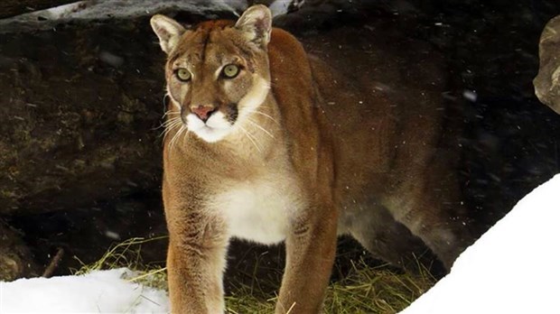 Le Miller Zoo a reçu une somme de 30 000 $.